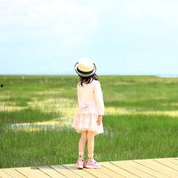 夏天的秘密,探寻夏天的秘密