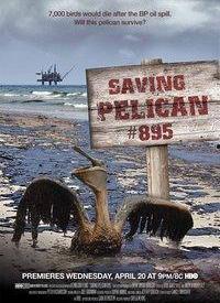 拯救鹈鹕895,一场跨越生死的生态救赎之旅