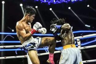 搏击之歌,激荡青春，挥洒热血的青春赞歌